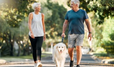 Older couple walking down a street, happily smiling while walking a cute, fluffy, white dog.